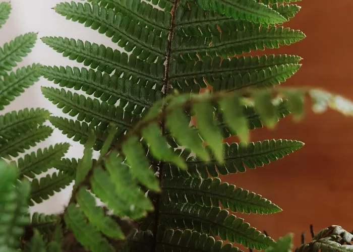 Maison Du Parc - Vue Canal Feriehus Soorts-Hossegor