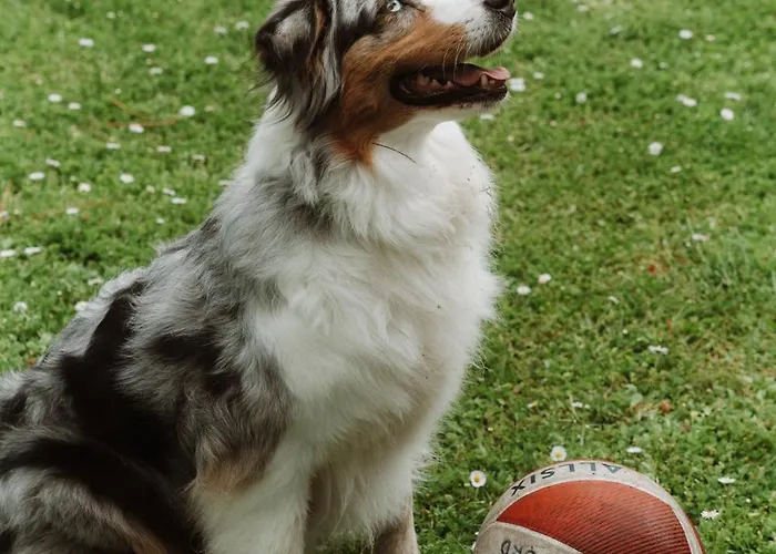 Maison Du Parc - Vue Canal 펜션